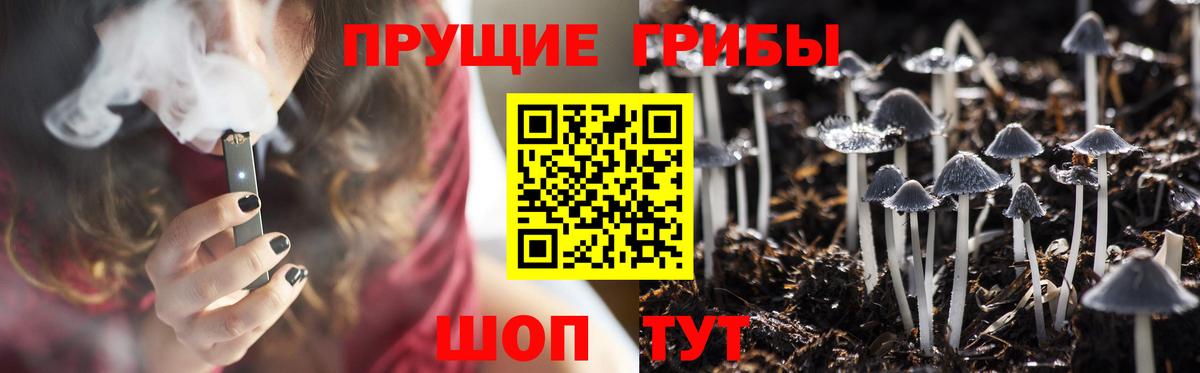 Псилоцибиновые грибы прущие грибы Обь